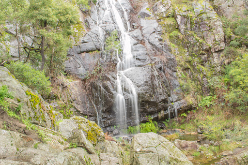 twistedwheel | Visit Clematis Falls: Enjoy the beauty of Clematis Falls