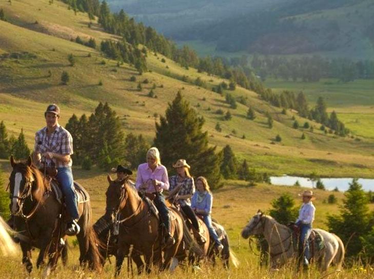 twistedwheel | Explore the Grampians' High Country on Horseback: Discover the high country on horseback