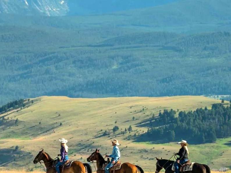 twistedwheel | Explore the Grampians' High Country on Horseback: Discover the high country on horseback