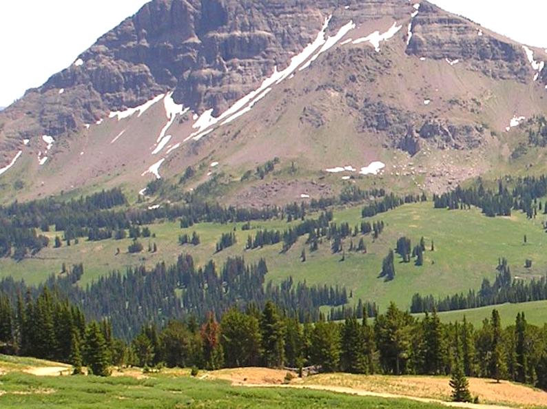 twistedwheel | Camp at Borough Huts Campground: Stay at Borough Huts Campground