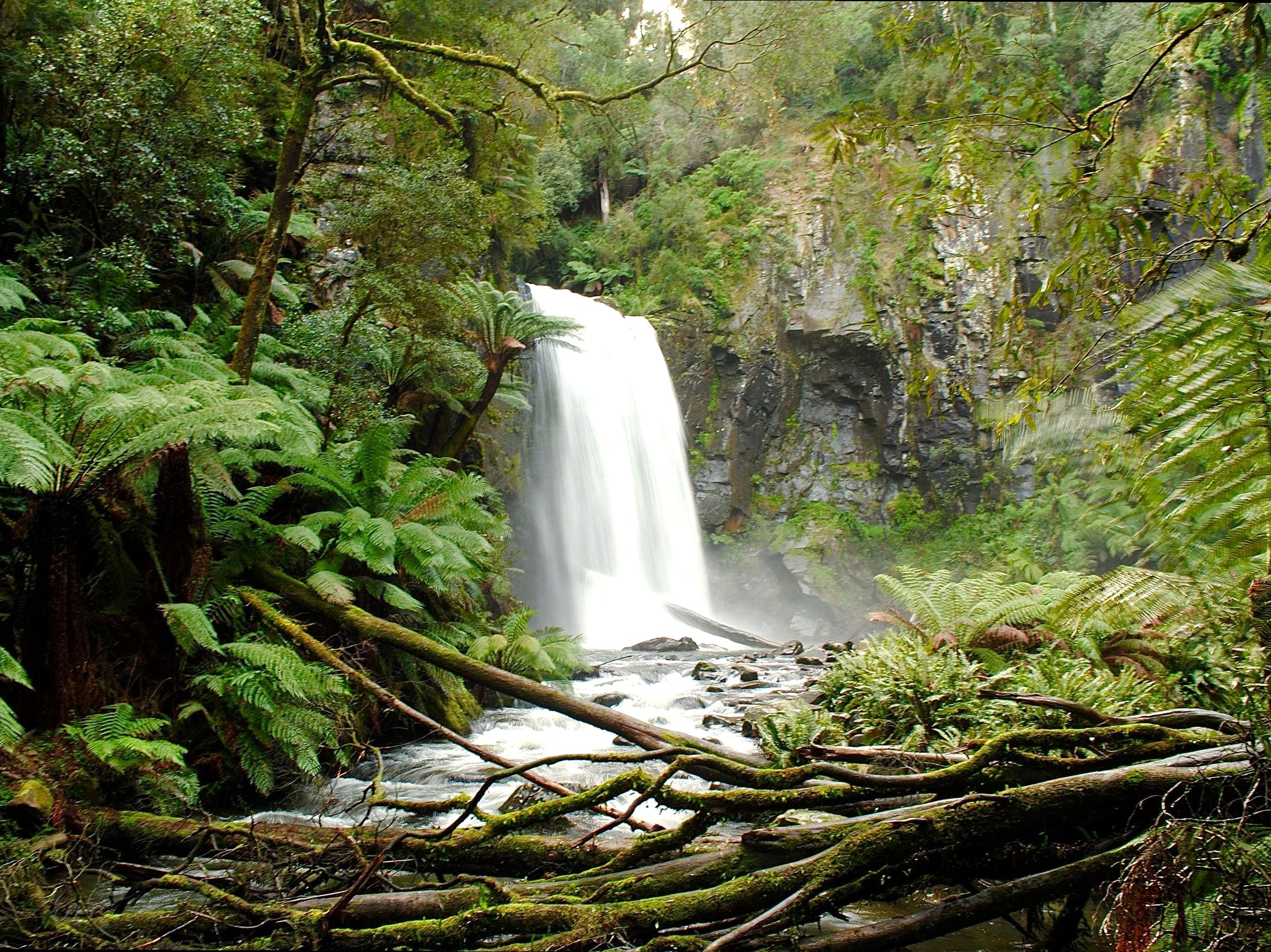 twistedwheel | Little Aire Falls: Scenic Waterfall in the Otways