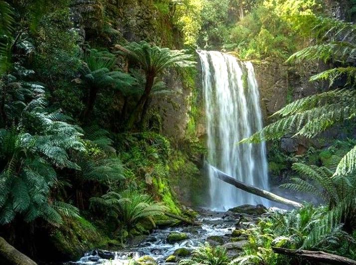 twistedwheel | Little Aire Falls: Scenic Waterfall in the Otways