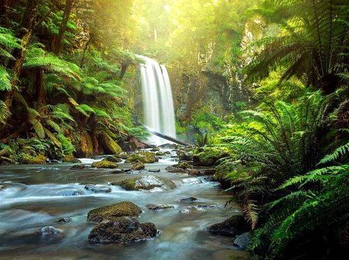 twistedwheel | Little Aire Falls: Scenic Waterfall in the Otways