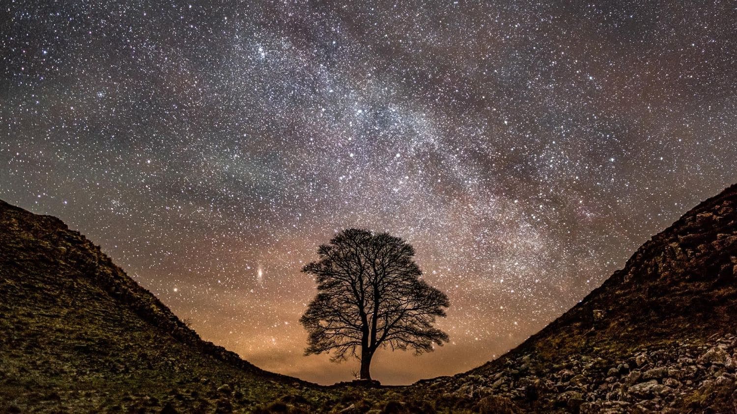 twistedwheel | Participate in a Night Sky Photography Class: Improve your night photography skills